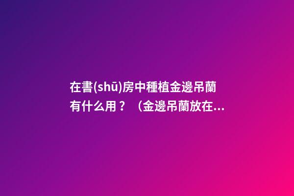 在書(shū)房中種植金邊吊蘭有什么用？（金邊吊蘭放在室內(nèi)好嗎）